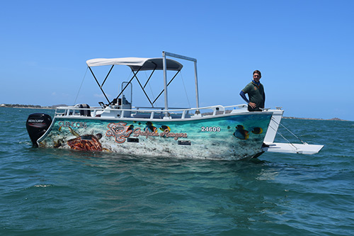 turtle rescue program Gudjuda